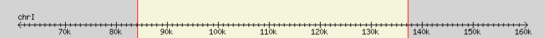 __scale__ region