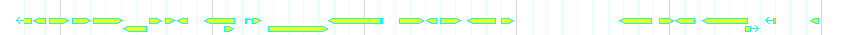 Genes detail
