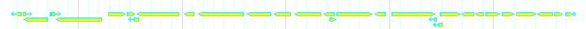 Genes detail