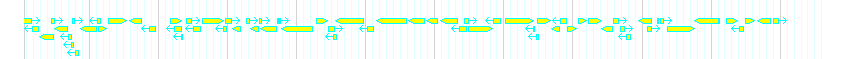 Genes detail