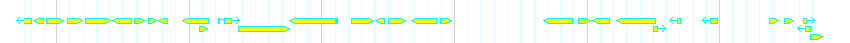 Genes detail