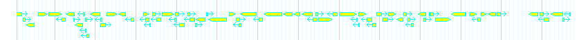 Genes detail