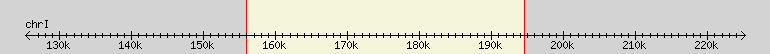 __scale__ region