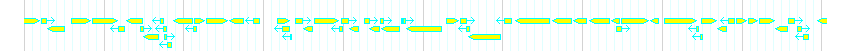 Genes detail