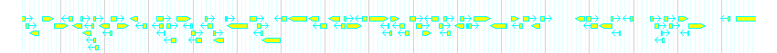 Genes detail