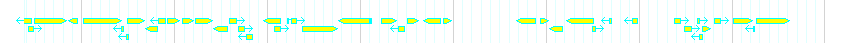 Genes detail