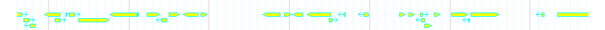Genes detail