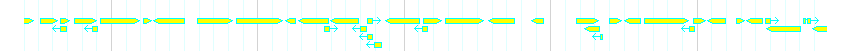 Genes detail