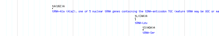 tRNAs detail