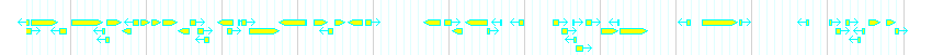 Genes detail