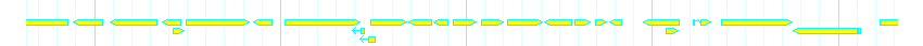 Genes detail