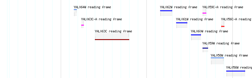 CDS detail