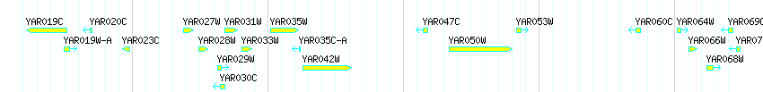 Genes detail