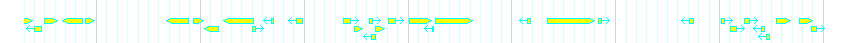 Genes detail