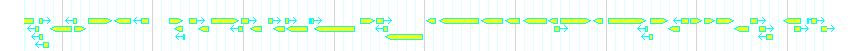 Genes detail