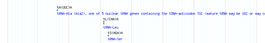 tRNAs detail