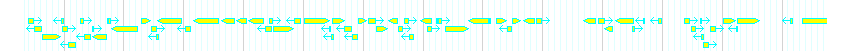Genes detail