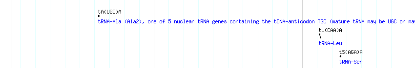 tRNAs detail