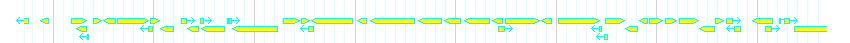 Genes detail