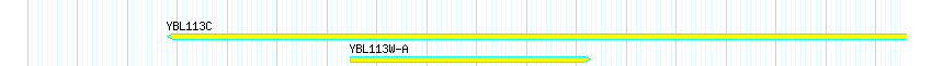 Genes detail