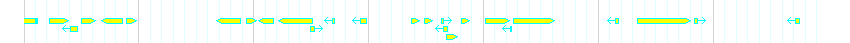 Genes detail
