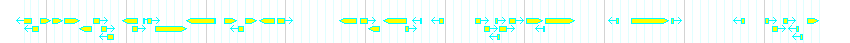 Genes detail