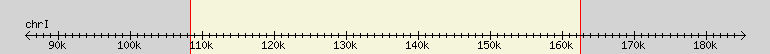 __scale__ region