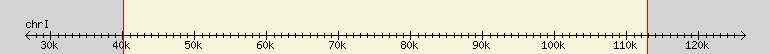 __scale__ region