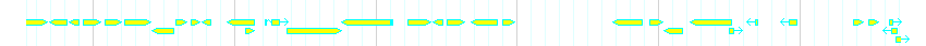 Genes detail