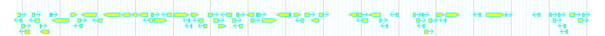 Genes detail