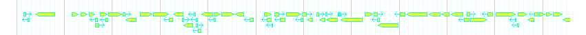 Genes detail