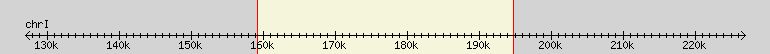 __scale__ region