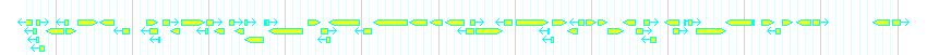 Genes detail