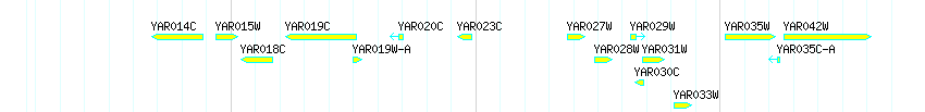 Genes detail