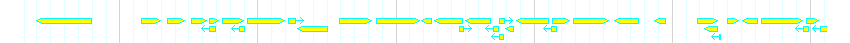 Genes detail