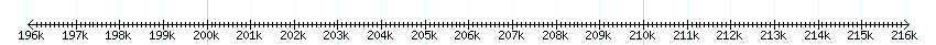 __scale__ detail