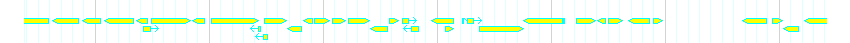 Genes detail