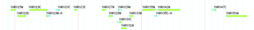 Genes detail
