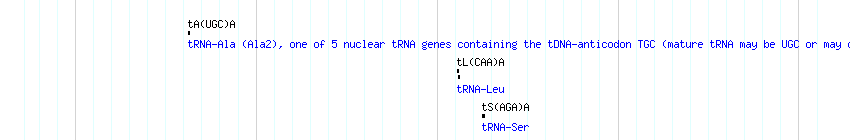 tRNAs detail