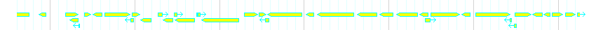 Genes detail