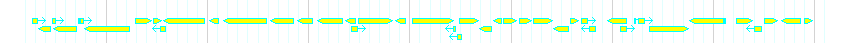 Genes detail