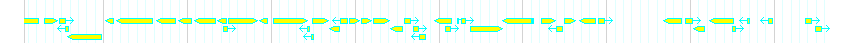 Genes detail
