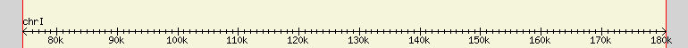 __scale__ region