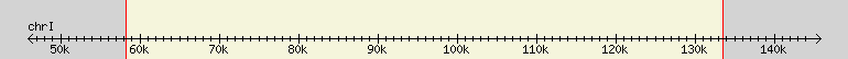 __scale__ region