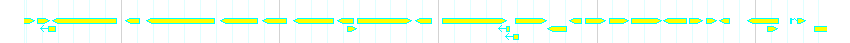 Genes detail