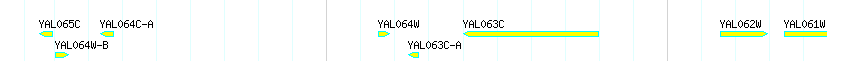 Genes detail