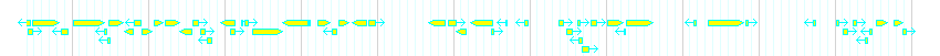 Genes detail