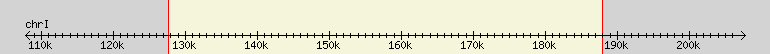 __scale__ region