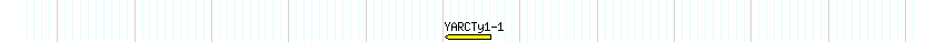 Transp detail