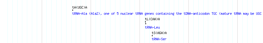 tRNAs detail